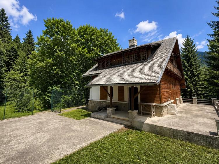 CABANA IN ZONA SINAIA - TEREN 550MP