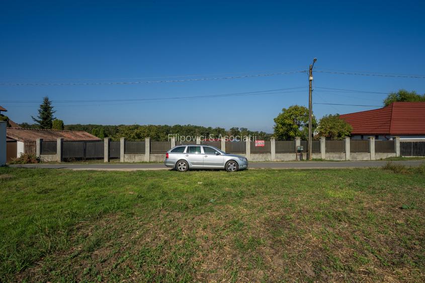 BRANESTI, TEREN CONSTRUCTII 1400 MP, DESCHIDERE 32 MP! - 6