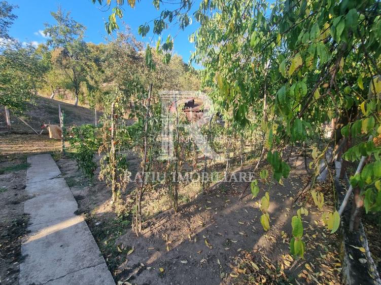 Casă renovata cu teren generos | Anexe | Gurasada | Hunedoara - 35