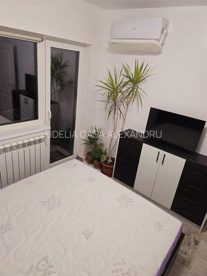 Apartament 2 camere Tatarasi - 4
