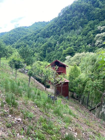 Casa de vacanta cu 4 camere, 1470 mp teren, Sugag - 10