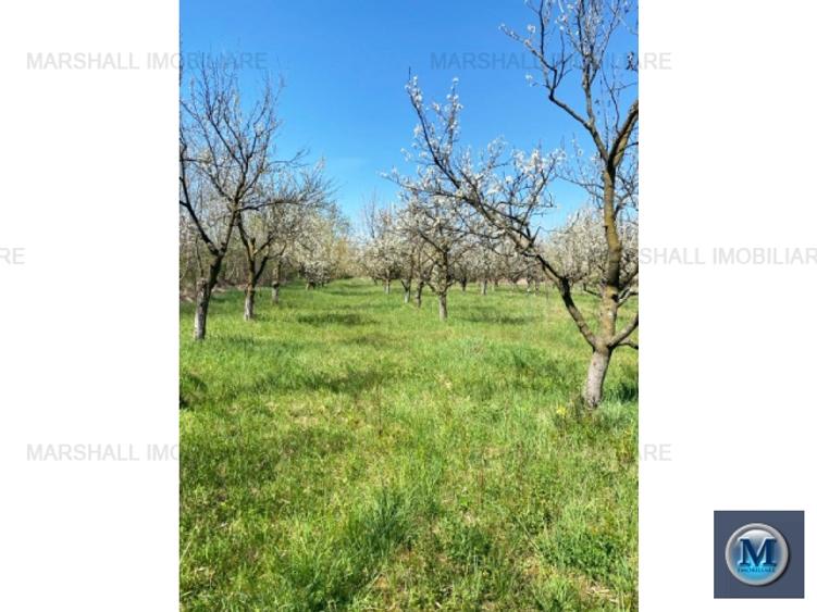 Teren intravilan de vanzare in Baicoi, 4036 mp #15948