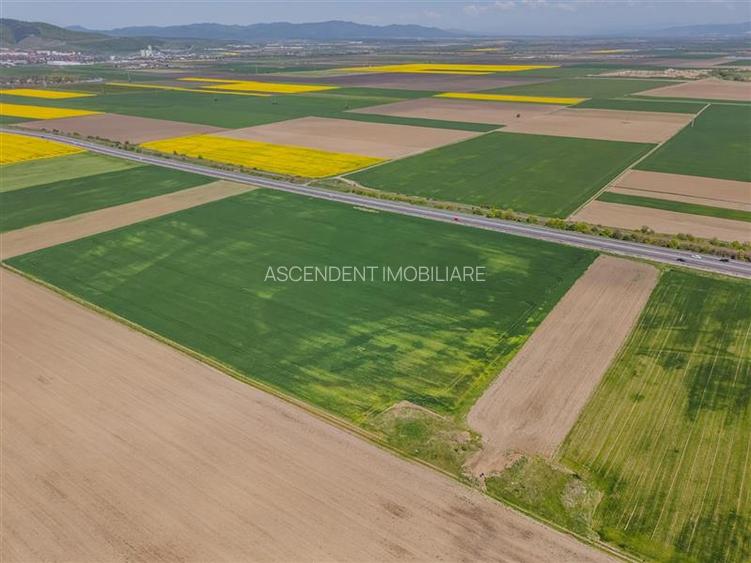 Unitate investitionala: 47.577 mp, Codlea .-. Ghimbav, acces facil, ariere remar - 12