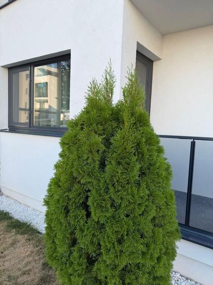 Apartament 2 camere Darwin Residence, Tunari 135.000 € neg.