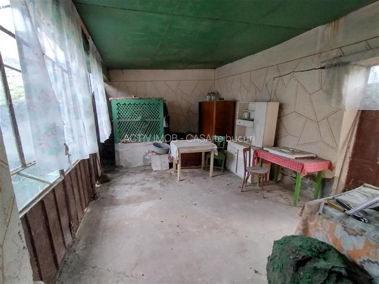 Bogodint, Casa cu 4 Hectare Teren, Pret Negociabil - 27