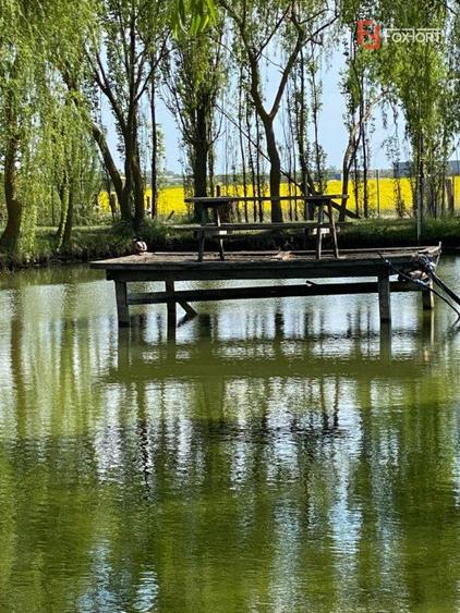 Vila Duplex cu lac si piscina Giarmata Vii cu 5880 mp de teren - ID V5269