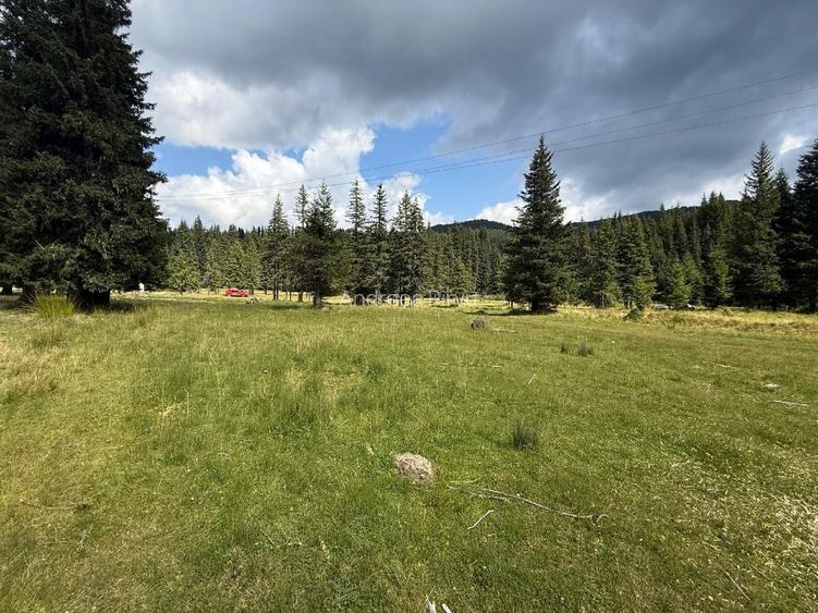 Teren Intravilan cu PUZ in zona Padina/Pestera