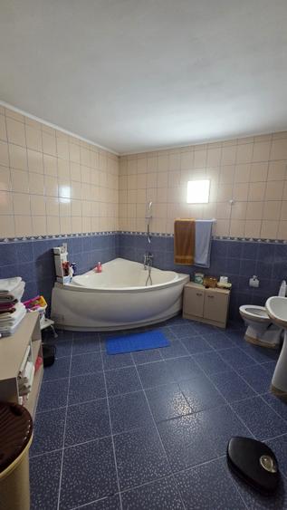 Casă spațioasă cu piscină, crama și teren generos – zona Aurel Vlaicu