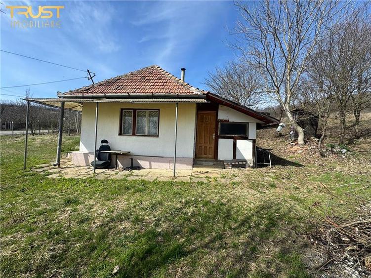 Teren Parcelabil I 11400 MP I Corpadea