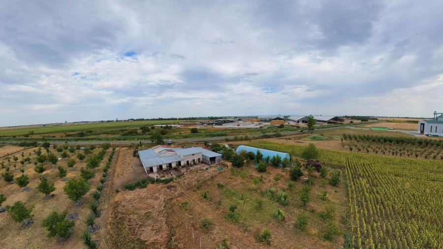 Livadă de 3,6 hectare în Iratoșu – Oportunitate