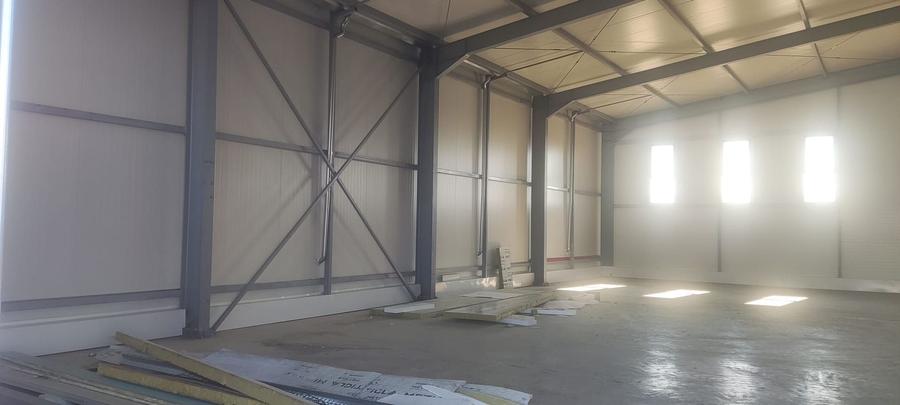 Hale noi PRET BOMBA ( 2 bucati ) 538 mp buc. Frumusani- Autostrada AO