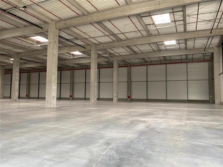 Inchiriere depozit/hala/spatiu industrial Chitila - Centura, Ilfov
