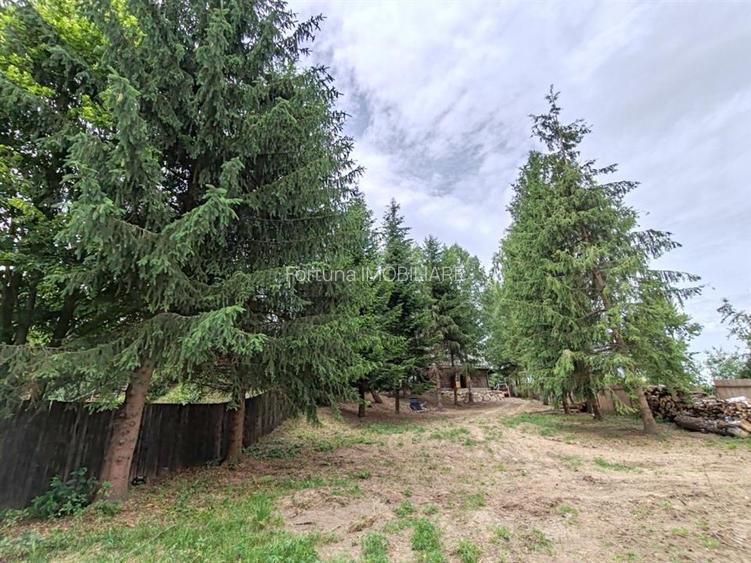 Teren cu casa de vacanta 3300 mp Rasnov Zona Glajarie - 5