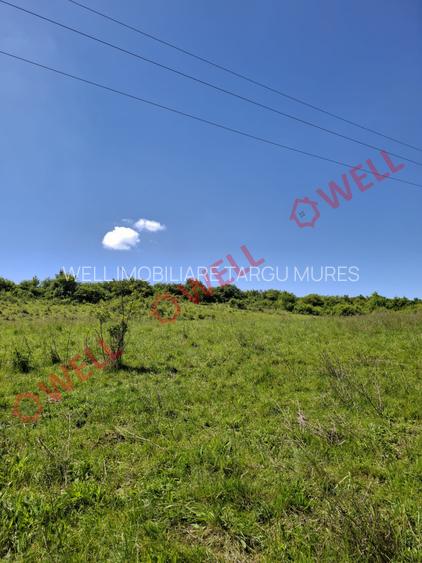 De vânzare teren intravilan de 30 000 m² (3 ha) în Reghin - 3