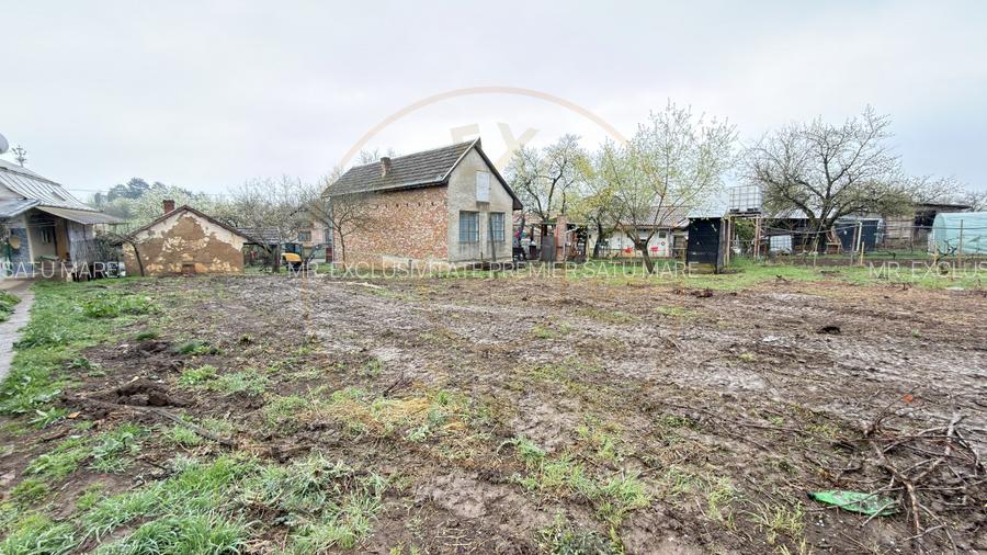 De vânzare 2 Case de vinificație cu Teren 4108 mp - Grădina Viilor - Carei - 17