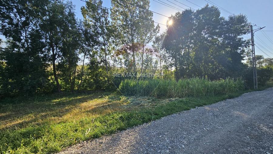 Teren intravilan, 7500 mp in Moara Carp / Strada Eternitatii-Suceava - 14