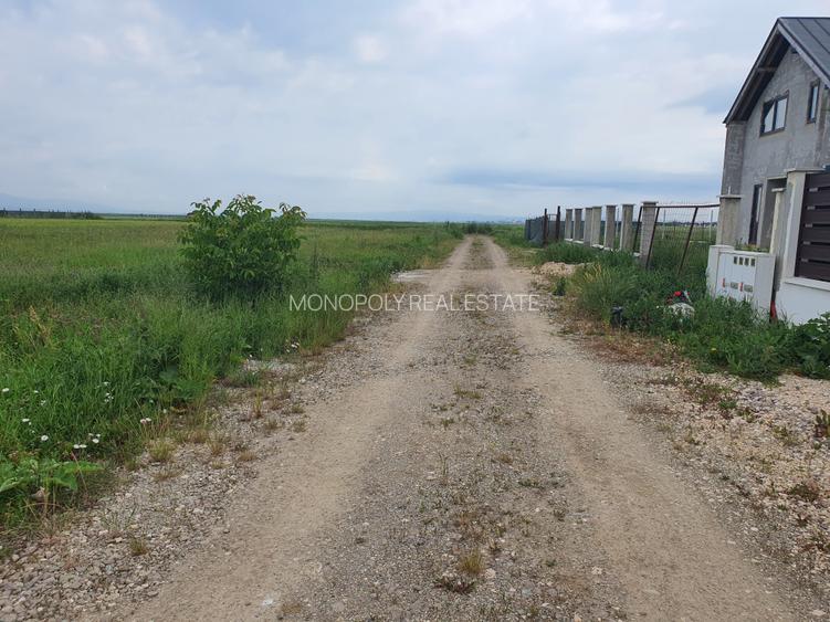 Lot casa Cristian Brașov - 7