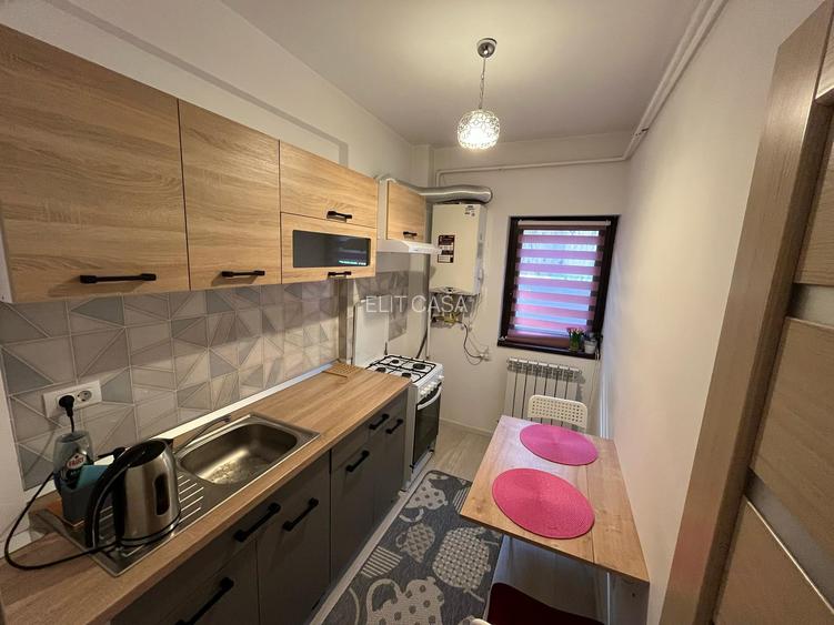 Apartament cu 1 camera, decomandat, zona Tudor Vladimirescu - 3