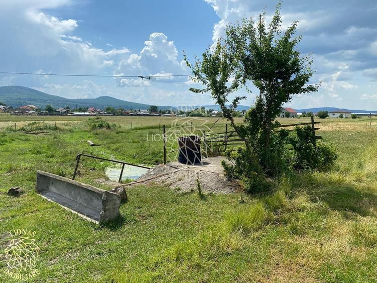Teren 7200 mp-parcelabil-investitie-Sieu Magherus la 16 km de Bistrita - 4