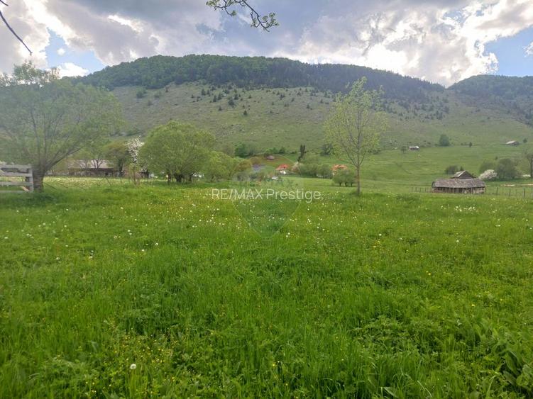 Teren 4,245mp Sirnea / Strada Principala - 2