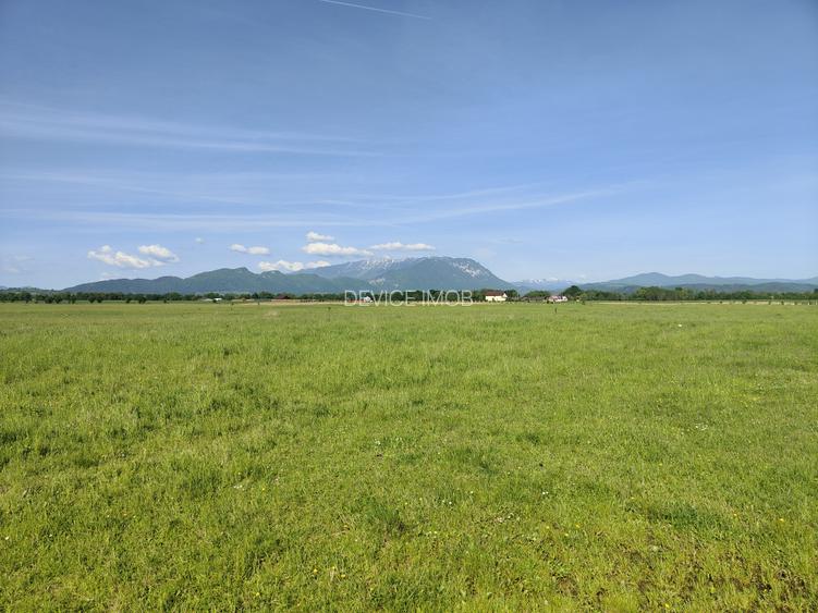 Teren Intravilan  cu destinatie casa vacanta -Glajarie - 3