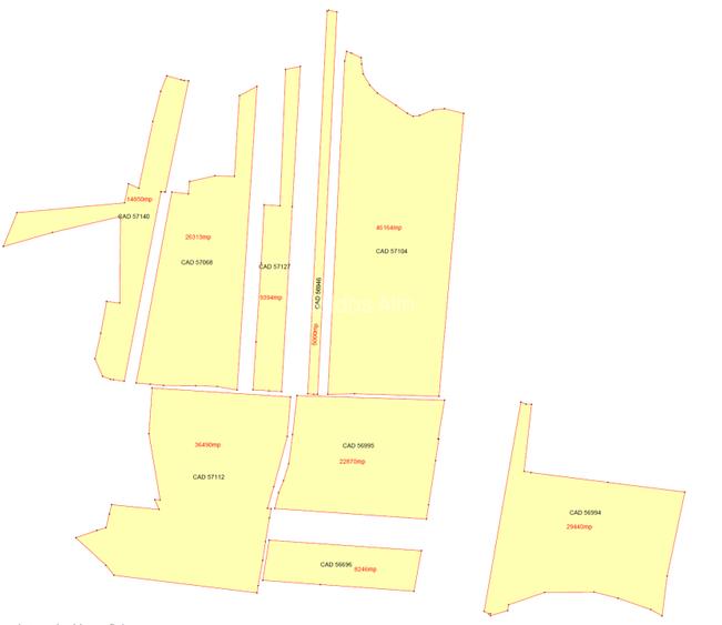 Teren arabil 19,87 ha — Tileagd, Bihor - 3