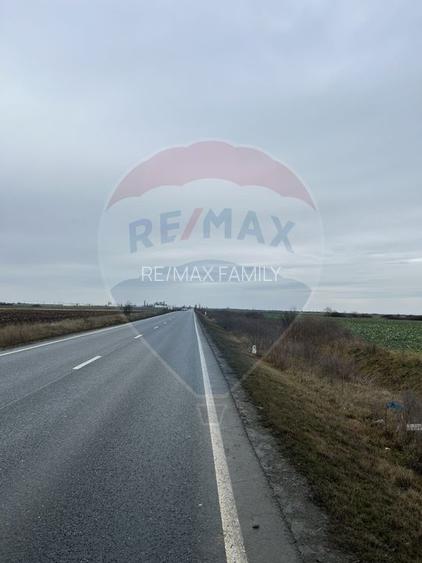 Teren intravilan 80500mp. aproape de nodul rutier de pe DX Oradea-Arad - 10