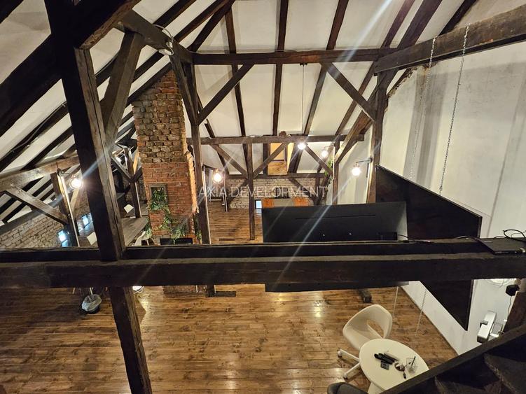 Vila pentru birou - Cismigiu - 16