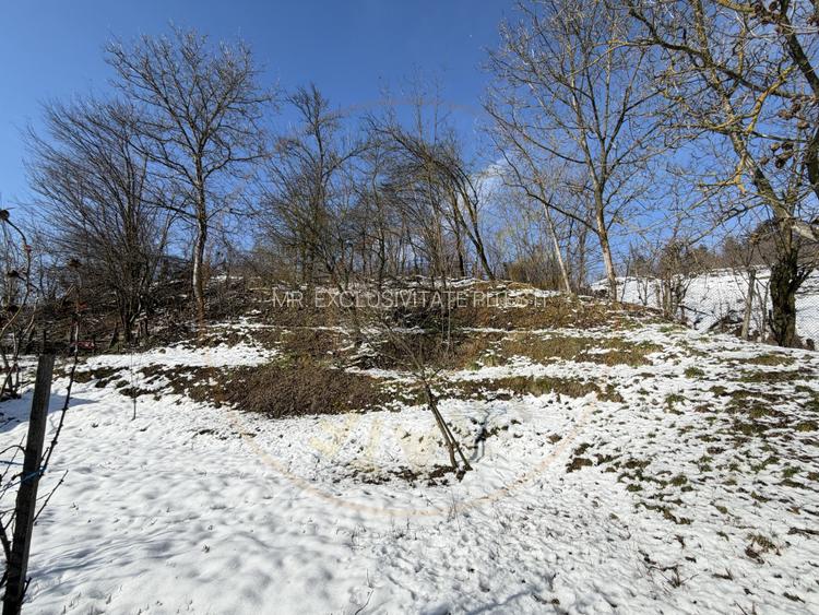 Casa Traditionala Priboieni Arges - 17