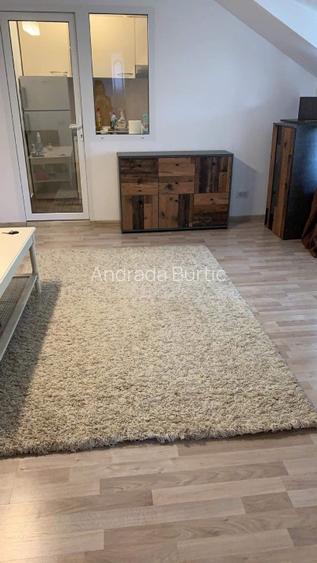 Mansarda de inchiriat - 10