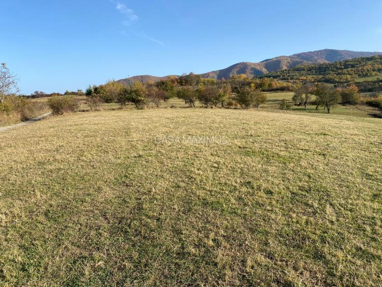 O oportunitate care îți atinge sufletul: Teren de vis la ieșirea din Rășinari - 10