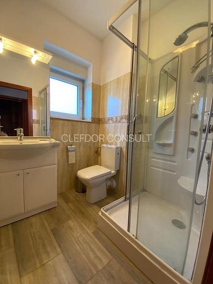 Vilă  în zona Iancu Nicolae - 16