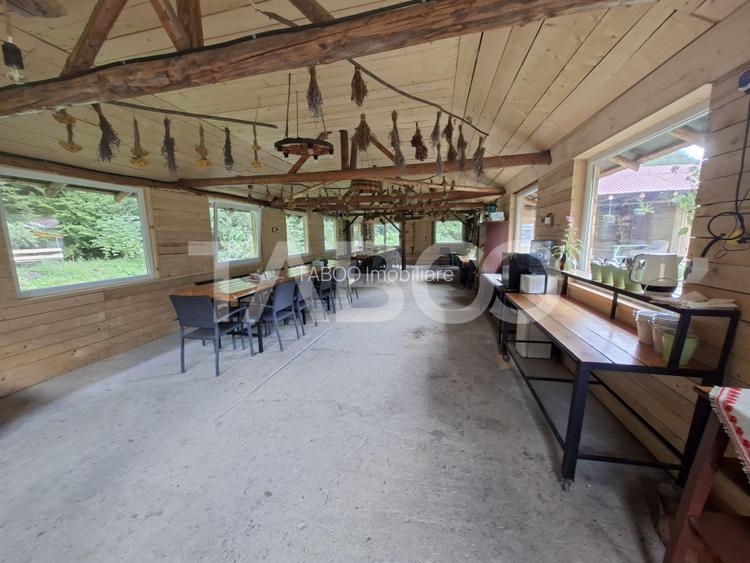 Spatiu de vanzare in Valea Macesului judel Valcea iesire la Lotru - 29