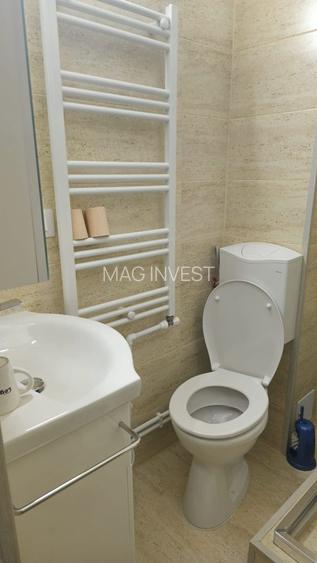 Garsonieră de închiriat – ideală pentru birou/cabinet, Țiglina 1 - 9