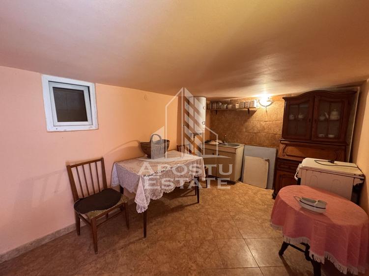 Pensiune cu 8 camere, cu iesire la rau, Salasu de Jos, Hunedoara