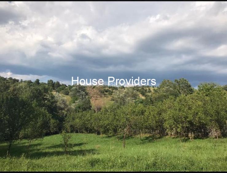 Vanzare Terenur Drajna  Prahova - 8