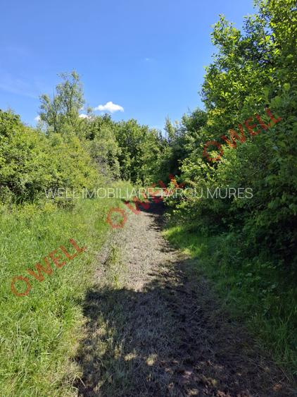 De vânzare teren intravilan de 30 000 m² (3 ha) în Reghin - 2