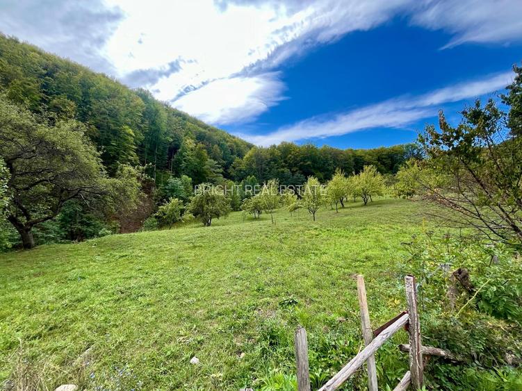 Teren 9.800 mp – Investiție ideală în mijlocul naturii | 10€/mp - Comision 0% - 4