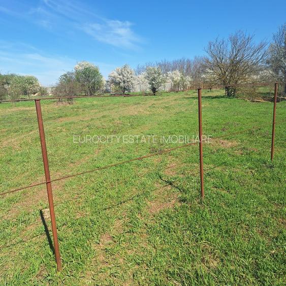 Dragomiresti- Vale, str Nucilor, teren intravilan 2.262mp. - 6