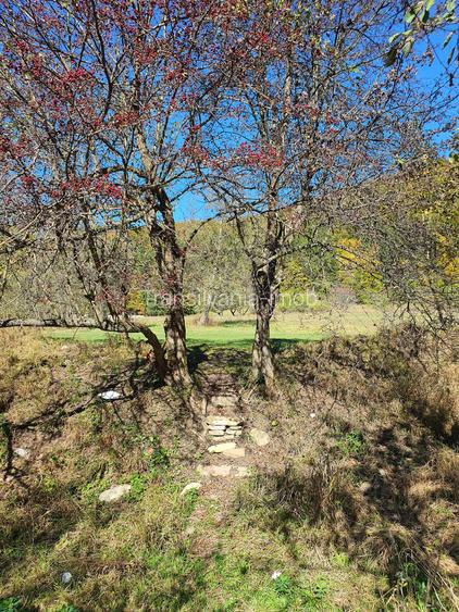 Teren Sacele Bradet 8euro/mp pretabil investitie - 9