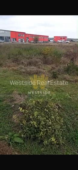 Teren intravilan de vanzare, Calea Lugojului - 6