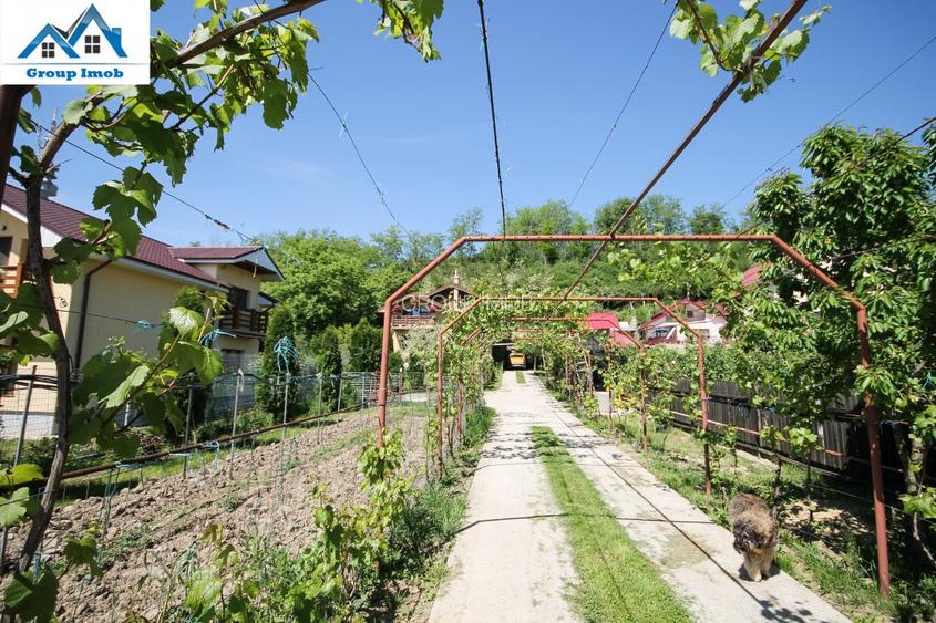 Vila pentru pretentiosi - Serbanesti - 3