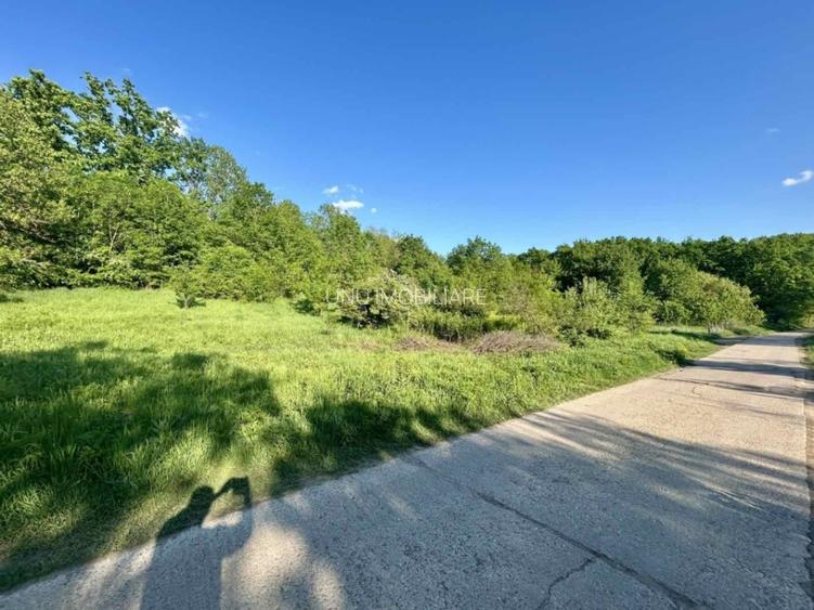 Teren 1000-2000mp intravilan in Gradina Botanica Iasi, 200€/mp, utilitati - 10