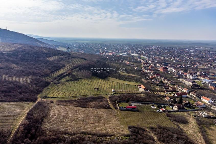 Teren intravilan în Șiria pe deal - 3