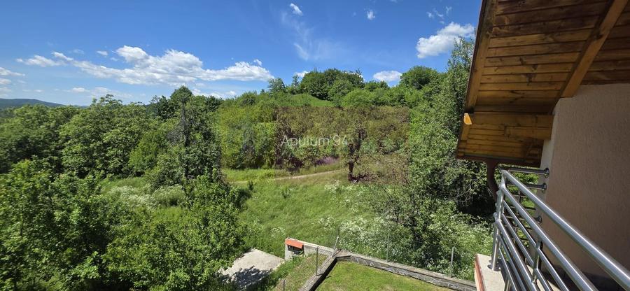 Vila de vanzare in Breaza-Nistoresti cu 7068 mp - 47