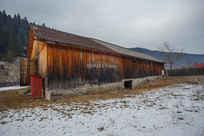 De vanzare| Hala industriala + teren, post trafo propriu, Borca, Neamt - 9