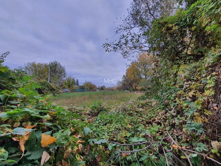 Teren de vânzare “Dumbrava Minunata” în Domnesti, Ilfov - 11