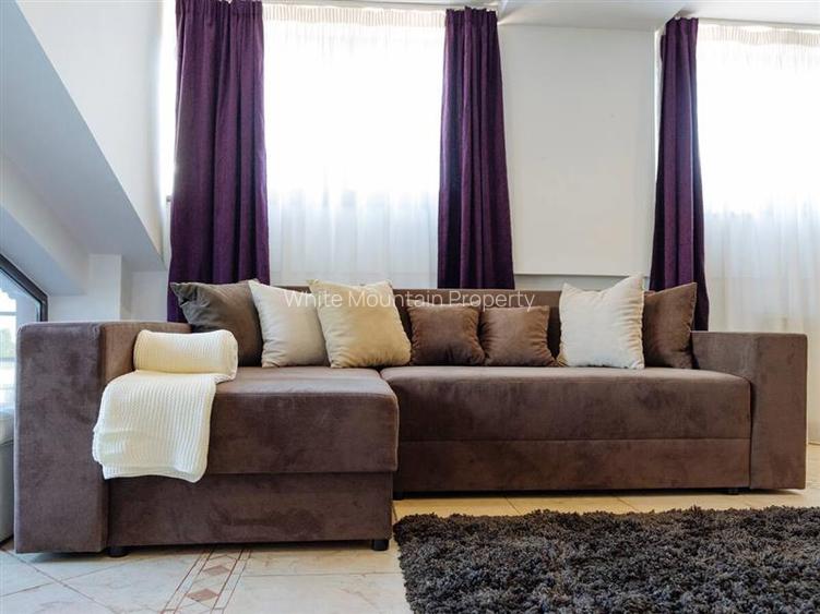 Penthouse 2 camere, inchiriere lunga durata, Herastrau - 6