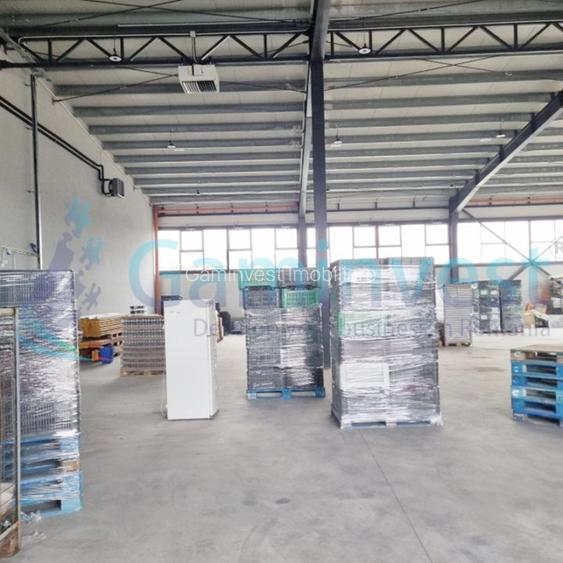 Hala noua de inchiriat, Parcul Industrial III, Uzinelor, Oradea, Bihor - 4