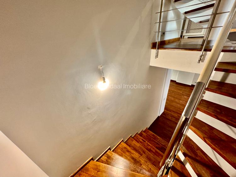 Vila deosebită Erou Iancu Nicolae-Complex residential - 16